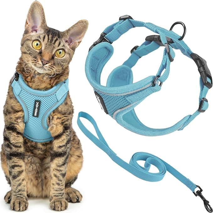 Voyager Escape Proof Cat Harness and Leash Set with Reflective Stitching, Neoprene Handle 5ft - Supports Small, Medium and Large Cats, Kittens for Walking by Best Pet Supplies - Baby Blue, XS - Image 1
