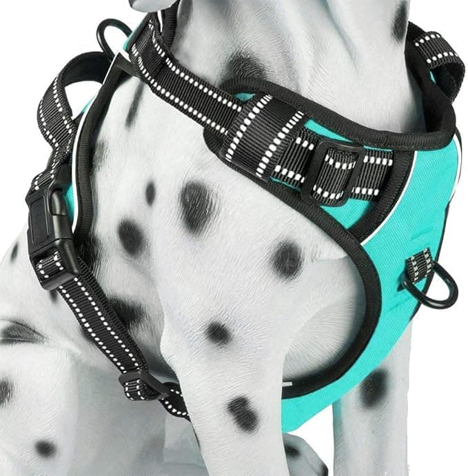 PoyPet No Pull Dog Harness, Reflective Comfortable Vest Harness with Front & Back 2 Leash Attachments and Easy Control Handle Adjustable Soft Padded Pet Vest for Small Medium Large Dogs (Mint Blue,M - Image 1