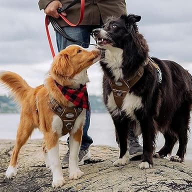 AUROTH Tactical Pet Harness for Large Dogs No Pull Adjustable, Reflective K9 Working Training Easy Control Vest Military fpr Service Dog Desert Camo L - Image 7