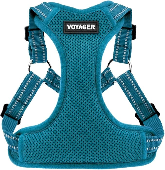 Best Pet Supplies Voyager Mesh Dog Breathable Harness Reflective Stitching, All Weather Adjustable for Walking Training, or Running - Heavy Duty & Durable, Harness (Turquoise), L - Image 1