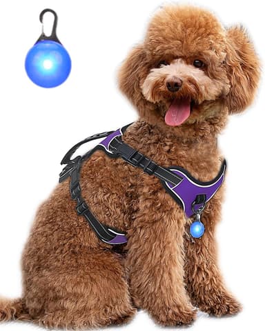 Dog Harness Purple No Pull Y Shaped for Medium Sized Dog, Small to Large Dogs Reflective Adjustable Easy Walk Puppy Harnesses,Heavy Duty Girl Boy Pet Vest 3 Buckle with Handle & Light,S - Image 2
