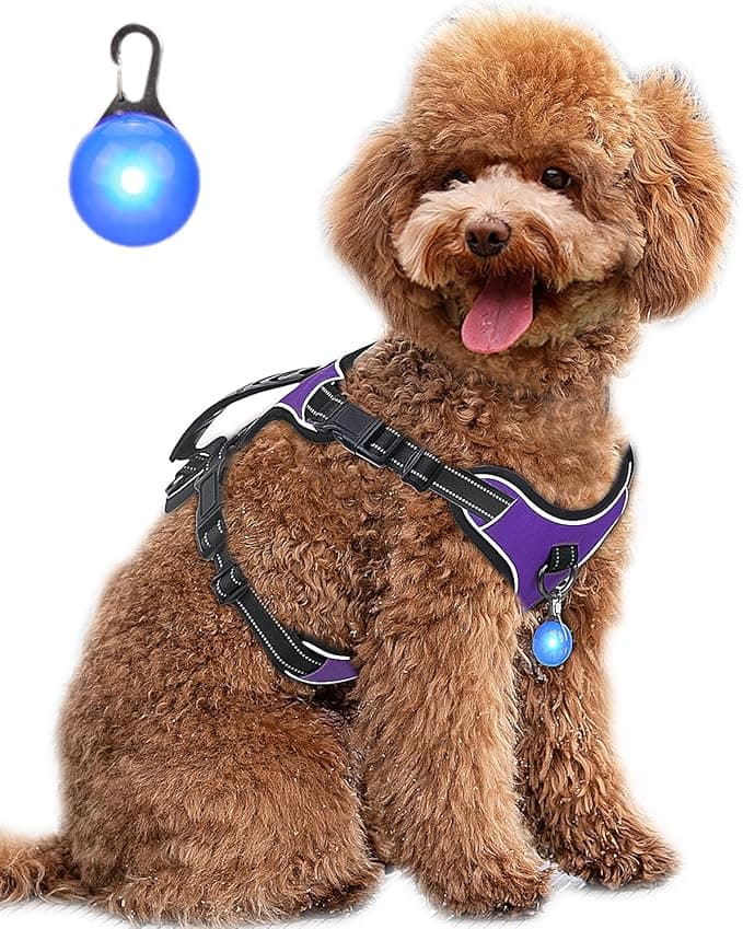 Dog Harness Purple No Pull Y Shaped for Medium Sized Dog, Small to Large Dogs Reflective Adjustable Easy Walk Puppy Harnesses,Heavy Duty Girl Boy Pet Vest 3 Buckle with Handle & Light,S - Image 1