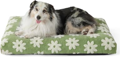 LE SURE XLarge Dog Bed-Thick Shredded Chopped Foam Pet Bed Indoor with Removable Cover, Cute Modern Fuzzy Plush & Anti Slip Bottom, Green - Image 2