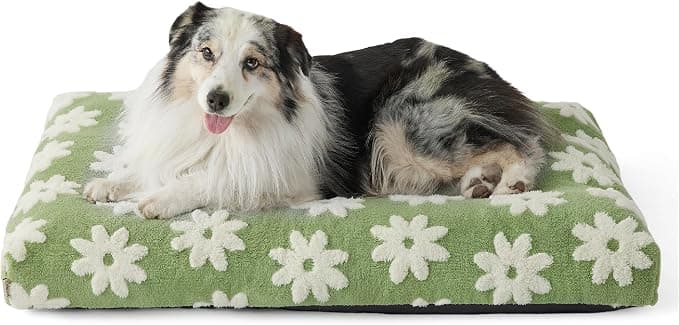 LE SURE XLarge Dog Bed-Thick Shredded Chopped Foam Pet Bed Indoor with Removable Cover, Cute Modern Fuzzy Plush & Anti Slip Bottom, Green - Image 1
