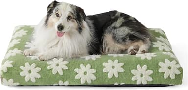 LE SURE XLarge Dog Bed-Thick Shredded Chopped Foam Pet Bed Indoor with Removable Cover, Cute Modern Fuzzy Plush & Anti Slip Bottom, Green - Image 1
