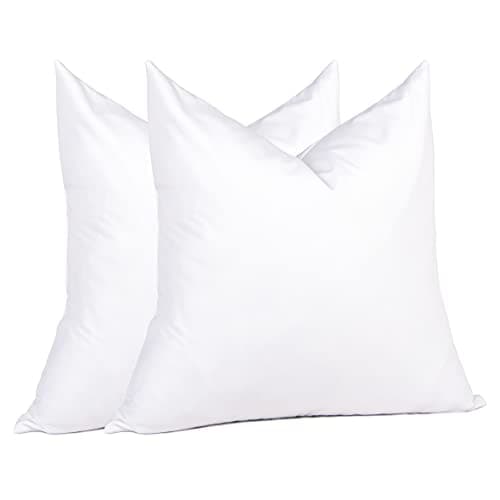 puredown® Natural Feather Down Throw Pillow Inserts 20 x 20 (Set of 2, White), Décor Pillow for Couch, Chairs, Office, Apartments - Image 1