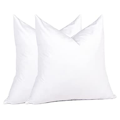 puredown® Natural Feather Down Throw Pillow Inserts 20 x 20 (Set of 2, White), Décor Pillow for Couch, Chairs, Office, Apartments - Image 1