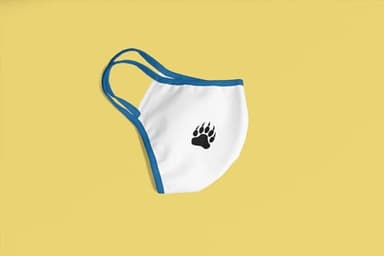 10 Mini Bear Paw Iron On Decals, Grizzly Bear Paws & Claws, Animal Heat Transfer, School Spirit Decal (Blue Glitter) - Image 8