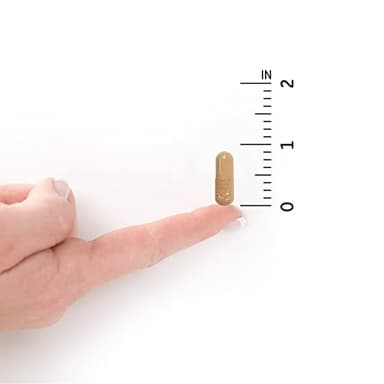 Garden of Life Raw Probiotics for Women's Vaginal Care with Acidophilus, Shelf Stable Probiotic Promotes Yeast Balance, Vaginal, Urinary Tract Health, 30 Vegetarian Capsules - Image 7