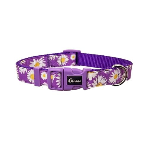 Olahibi Dog Collar, Floral Pattern, Nylon Webbing Plus Cotton Ribbon, for Medium Dogs.(M, Purple Daisy) - Image 1