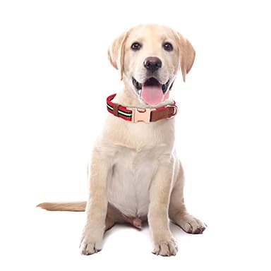 Dog Collar Reflective, Multi-Colored Stripe Dog Collar, Soft Adjustable Dog Collars with Metal Buckle for Small Medium Large Dogs, Perfect Pet Collar Gift (red,L) - Image 2
