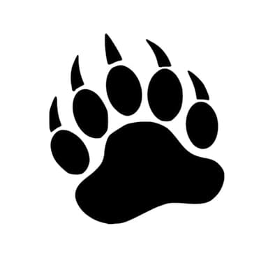 10 Mini Bear Paw Iron On Decals, Grizzly Bear Paws & Claws, Animal Heat Transfer, School Spirit Decal (Blue Glitter) - Image 6
