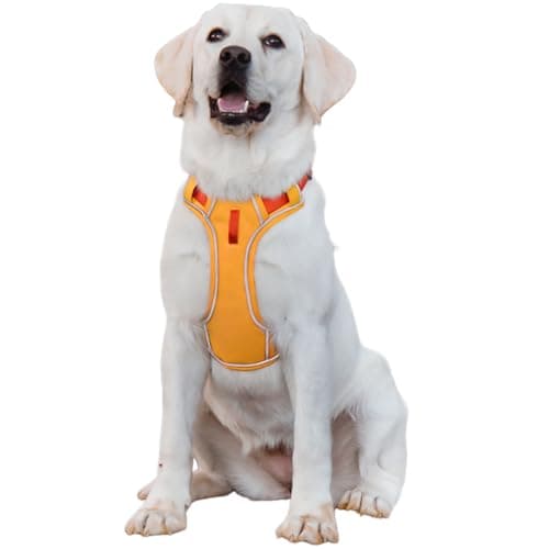 Paipeper No Pull Dog Harness,Adjustable Lightweight Small Medium Dog Vest Harness with Reflective Strip,Pet Harness with Easy Control Handle,Stops Pets from Pulling and Choking(Yellow Orange-l) - Image 1