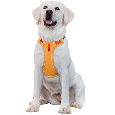 Paipeper No Pull Dog Harness,Adjustable Lightweight Small Medium Dog Vest Harness with Reflective Strip,Pet Harness with Easy Control Handle,Stops Pets from Pulling and Choking(Yellow Orange-l) - Image 1