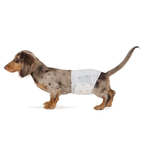 Amazon Basics Male Dog Diapers, 30 Count, Small, Ultra Absorbent Disposable Wrap with Secure Fit, Leakproof and Comfortable - Image 1