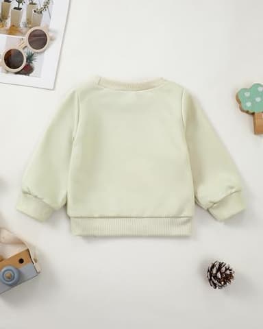 NZRVAWS 18-24 Months Baby Boys Clothes Pullover Dark Apricot Toddler Sweatshirt Long Sleeve Crewneck Boy Sweater Fall Winter Little Boys Outfit - Image 4