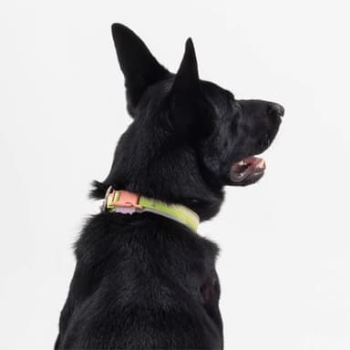 Maogoublue Reflective Nylon Dog Collar with Soft Webbing and Aircraft-Grade Aluminum 0-Ring for Small Medium Large Dogs Size (XL, Green+Pink) - Image 4
