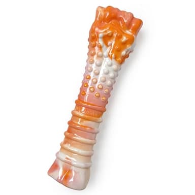 Nylabone Limited Edition 70th Birthday Textured Bone Power Chew Toy for Dogs, Durable & Tough Dog Toys for Aggressive Chewers, Roasted Chicken Flavor, X-Large Dogs - 50+ lbs (1 Count) - Image 1