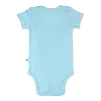 HonestBaby 10-Pack Short Sleeve Bodysuits One-Piece 100% Organic Cotton for Infant Baby Boys, Girls, Unisex, Rainbow Blues, 18 Months - Image 4