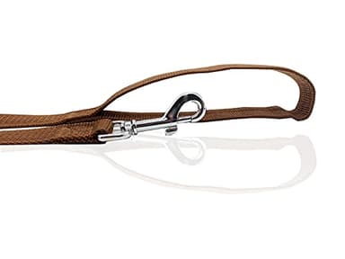 Nylon Dog Leash 10 Feet Long, Walking Training Dog Leashes for Medium Large Dogs, 1 Inch Wide (Brown) - Image 4
