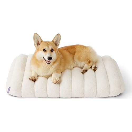 Lesure Cute Orthopedic Dog Bed for Crate, Large Waterproof Chic Flat Pet Beds with Removable Washable Cover, Fuzzy Thick Egg Crate Foam Pet Mat for Indoor Dogs (35" x 22", Cream) - Image 1