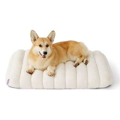 Lesure Cute Orthopedic Dog Bed for Crate, Large Waterproof Chic Flat Pet Beds with Removable Washable Cover, Fuzzy Thick Egg Crate Foam Pet Mat for Indoor Dogs (35" x 22", Cream) - Image 1