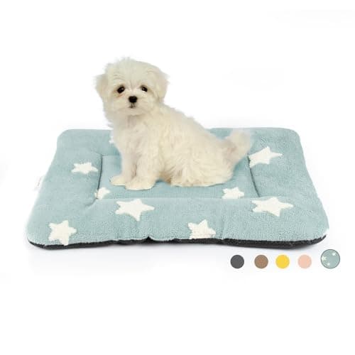 Mora Pets Dog Crate Pad Kennel Bed Crate Mat for Small Dogs Washable Cute Star Pet Bed for Dog Cage Ultra Soft Flat Puppy Cat Kitten Pillow Cushion for Sleeping Anti-Slip Blue 24 x 18 - Image 1