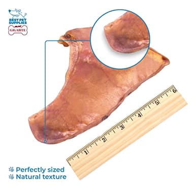 Best Pet Supplies GigaBite Roasted Pig Ears for Dogs - Natural Dog Chews, Roasted Pigs Ears, Safe for Puppies and Aggressive Chewers, Cleans Teeth and Gums - Whole Ears, Pack of 22 - Image 4
