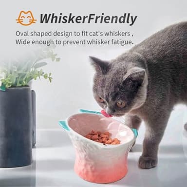 EubooTree Ceramic Raised Cat Food Bowl, Shallow & Tilted, Anti Vomiting and Whisker Fatigue, Non-Slip, Cute Fish Shape Cat Feeding Bowls for Dry and Wet Food, for Kitten, Pink/Blue, 2-Pack - Image 4