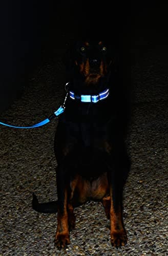 Reflective Dog Leash for Medium Dogs, 5/8" wide, 6' long, Yellow - Image 4