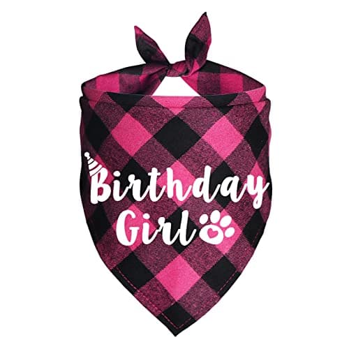 JOTFA Plaid Dog Bandana for Birthday Party Supplies (Pink) - Image 1
