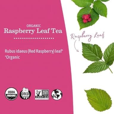 Earth Mama Organic Raspberry Leaf Tea Bags | Labor Tonic & Menstrual Support Herbal Tea, Red Raspberry Leaf Tea for Pregnancy & Postpartum Care Recovery, Caffeine Free Tea, Non GMO, (16 Teabags, 3-Pk) - Image 5