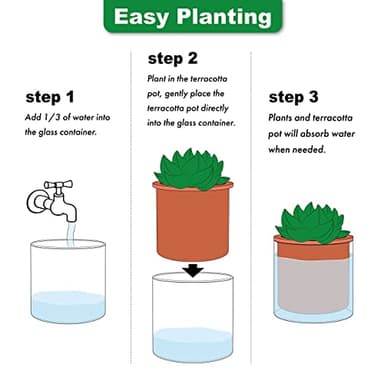 Phoenix Vine 4 Inch Self Watering Plants Pot, Design Terracotta Pot for Plants, Indoor Cylinder Terra Cotta Planter with Glass Vase, Set of 1, 51-A-E-1 - Image 6