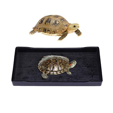 POPETPOP Reptile Water Dish : Plastic Reptile Water Bowl Bearded Dragon Food Bowl Food Dish Feeding for Turtles Lizards Snakes, 8.07x4.13x0.78inch - Image 5