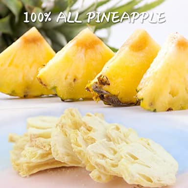 ONETANG Freeze-Dried Fruit Pineapple Chips, 10 Pack Single-Serve Pack, Non GMO, Kosher, No Add Sugar, Gluten free, Vegan, Holiday Gifts, Healthy Snack 0.35 Ounce - Image 4