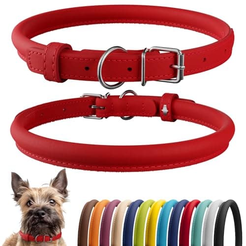 CollarDirect Rolled Leather Dog Collar, Soft Padded Round Puppy Collar, Handmade Genuine Leather Collar Dog Small Large Cat Collars 13 Colors (6-7 Inch, Red Smooth) - Image 1
