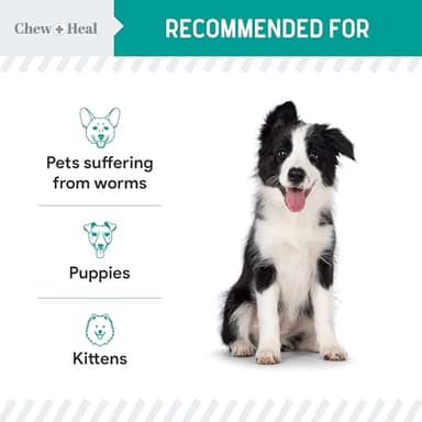 Dog and Cat Dewormer - 12 oz of Wormer Liquid to Paralyze and Expel Roundworms - Kitten and Puppy Dewormer - Image 4