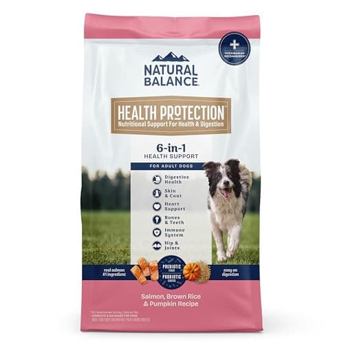Natural Balance Health Protection Dry Dog Food – Whole Body Health, Easy on Digestion Dog Food Made with Salmon, Brown Rice & Pumpkin for Dogs - 4lbs. - Image 1