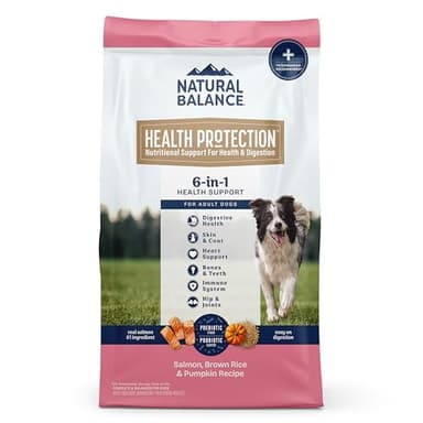 Natural Balance Health Protection Dry Dog Food – Whole Body Health, Easy on Digestion Dog Food Made with Salmon, Brown Rice & Pumpkin for Dogs - 4lbs. - Image 1