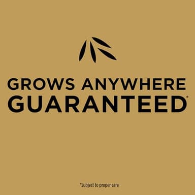 Scotts EZ Seed Patch and Repair for Sun and Shade Combination Mulch, Sun and Shade Grass Seed and Fertilizer for Bare Spots and Repair, Grows Anywhere, 40 lbs. - Image 7