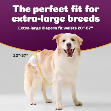 Inspire Pet Care Dog Diapers Female Dogs | Bulk Value Doggie Incontinence, Accidents, for Heat, Pee or Period and Housebreaking (X-Large (28 Count)) - Image 2