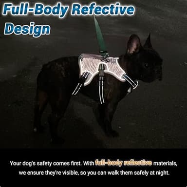 BELPRO Multi-Use Support Dog Harness, Escape Proof No Pull Reflective Adjustable Vest with Durable Handle, Dog Walking Harness for Big/Active Dogs (Blue, XL) - Image 5