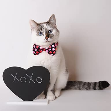 2 Pack Valentine Kitty Kitten Collar with Bow Tie, Holiday Heart Collar with Bell for Boys and Girls Male Female Cats (Pattern 1) - Image 4
