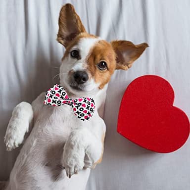 2 Pack Valentine Kitty Kitten Collar with Bow Tie, Holiday Heart Collar with Bell for Boys and Girls Male Female Cats (Pattern 1) - Image 5