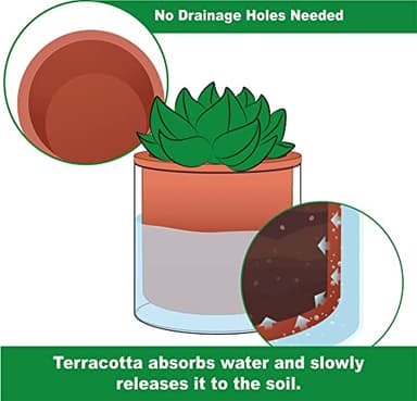 Phoenix Vine 4 Inch Self Watering Plants Pot, Design Terracotta Pot for Plants, Indoor Cylinder Terra Cotta Planter with Glass Vase, Set of 1, 51-A-E-1 - Image 4