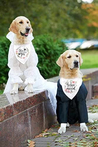 Cgvovgr Dog Bandana, 100% Cotton, Breathable, White, Medium-Large, 2-Pack, for Wedding & Engagement - Image 2