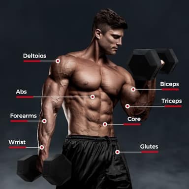 RITFIT 300/350/450/650/180/200/210 LB Rubber Hex Dumbbells Set with Optional Dumbbell Rack, Multi Weight Set to Choose, Ideal for Home Gym and Fitness(350LB Set with Rack) - Image 6