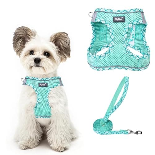 PUPTECK Dog Harness and Leash Set for Small Medium Dogs No Pull Step-in Soft Mesh Puppy Cat Vest Harnesses Reflective at Night, Upgraded New Green XS - Image 1