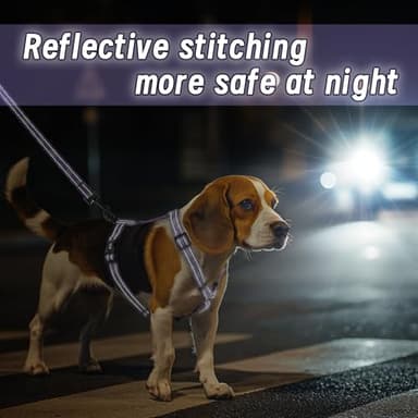 Dog Harness Leash Set, No Pull Adjustable Halter Cute Comfort Padded Handle for Medium Sized Large Small Dogs Walking Training Running with Reflective(XSmall,Purple) - Image 5