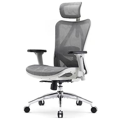 SIHOO M57 Ergonomic Office Chair with 3 Way Armrests Lumbar Support and Adjustable Headrest High Back Tilt Function Light Grey, M57-M114 - Image 1